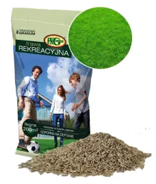 trawa-granum-rekreacyjna-mieszanka-traw-15kg-zwarta-odporna-na-wymarzanie