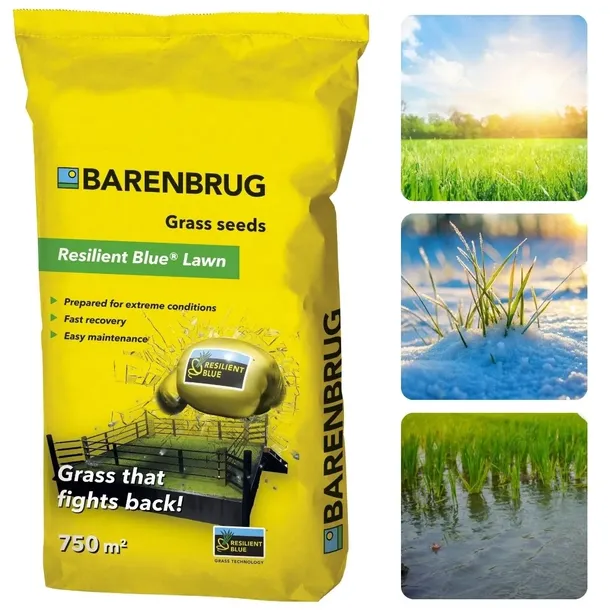 Trawa Barenbrug Resilient Blue Uniwersalna 15kg Trawnik Podsiew Regeneracja