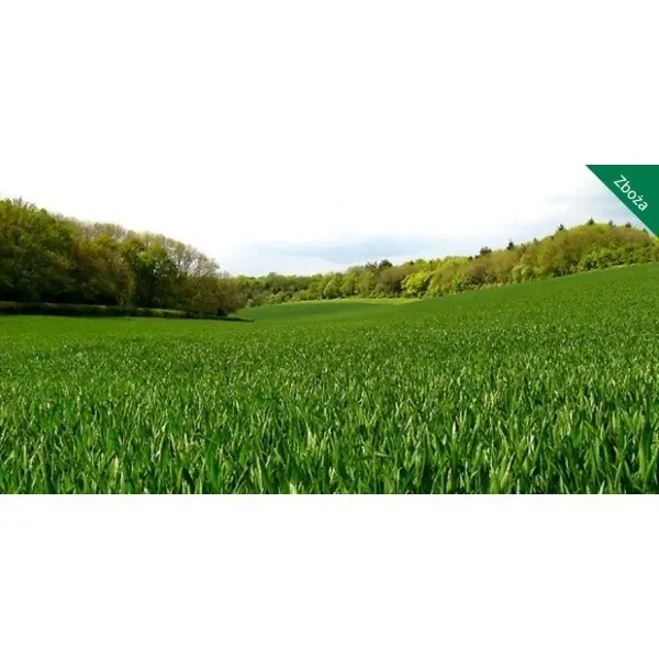 nawoz-hydrocomplex-yara-mila-complex-25kg-uniwersalny-warzywa-trawniki-sad-stan-nowy-rodzaj-nawozu-wieloskladnikowy