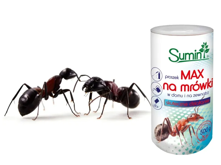 sumin-mrowkozol-max-proszek-na-mrowki-500g-waga-0-5-kg