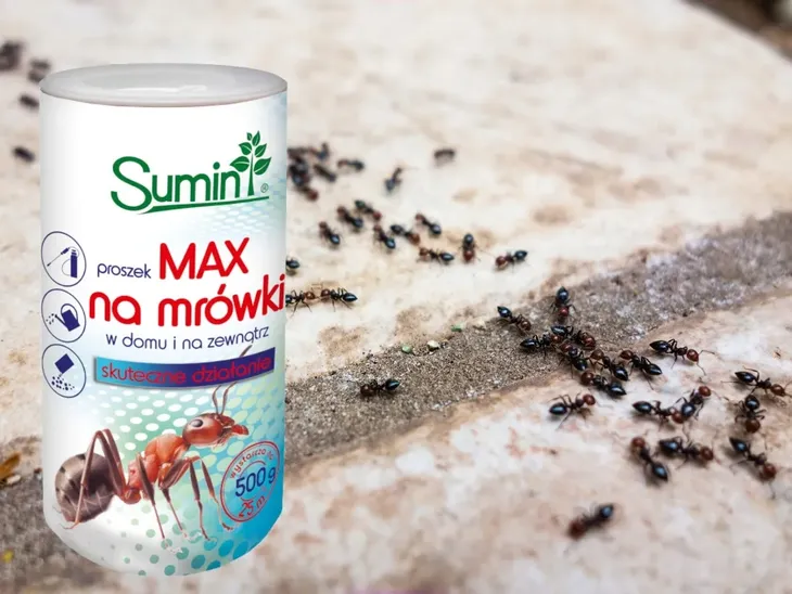 sumin-mrowkozol-max-proszek-na-mrowki-500g-zastosowanie-przeciwko-szkodnikom