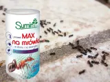 sumin-mrowkozol-max-proszek-na-mrowki-500g-zastosowanie-przeciwko-szkodnikom