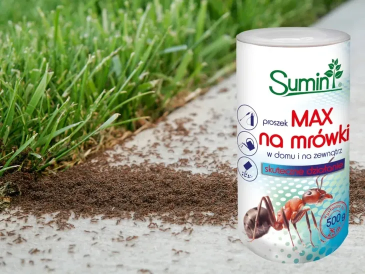 sumin-mrowkozol-max-proszek-na-mrowki-500g-kod-producenta-3319