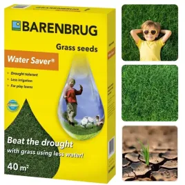 trawa-barenbrug-watersaver-1kg-tereny-suche-trawnik-bez-systemu-nawadniania