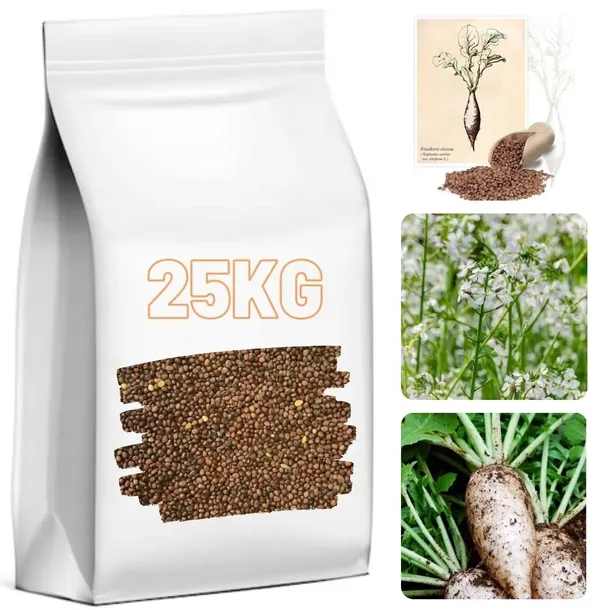 Rzodkiew Oleista 25KG Poplon Materiał Paszowy