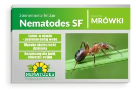 nematodes-sf-10mln-nicienie-na-mrowki-20-mrowisk-gniazda-robotnice-krolowa