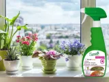 karate-spray-500ml-sumin-owadobojczy-mszyca-rodzaj-srodka-inny-stan-nowy