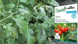 sumin-revus-250sc-30ml-stan-nowy-stan-opakowania-oryginalne
