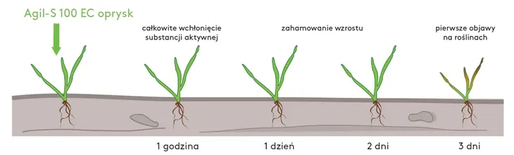 agil-s-100ec-5l-perz-miotla-stan-nowy