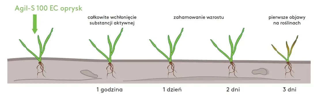 agil-s-100ec-5l-perz-miotla