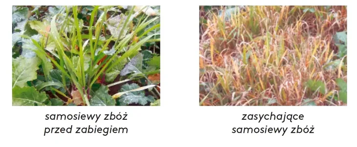 agil-s-100ec-5l-perz-miotla-forma-plyn