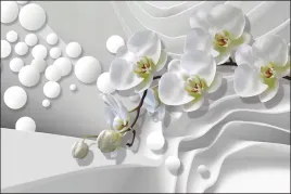 fototapeta-do-jadalni-biala-orchidea-kule-210x315