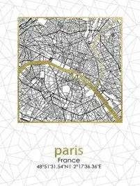 lumarko-obraz-45x60x18cm-plan-miasta-paris