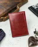 skorzane-etui-na-karty-wzor-dominujacy-bez-wzoru