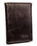 skorzane-etui-na-karty-rodzaj-na-dokumenty