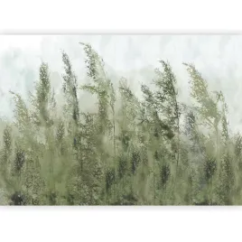fototapeta-natura-trawa-mgla-zielen-boho-laka-tapeta-do-salonu-3d-350x256