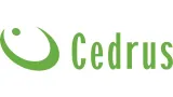 glebogryzarka-spalinowa-cedrus-gl01-loncin-2biegi-zasilanie-spalinowe