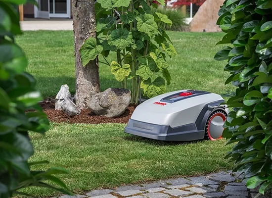 robot-koszacy-robolinho-500-e-al-ko-500-m