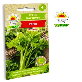 seler-naciowy-zefir-naciowy-wczesny-aromyczny-smak-leczniczy-nasiona