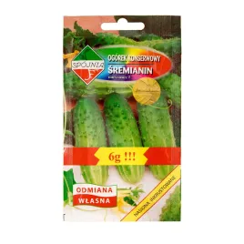 ogorek-gruntowy-sremianin-wczesna-odmiana-nasiona-warzyw-kwaszenia