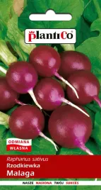 rzodkiewka-malaga-nasiona-5g-plantico-fioletowa-plenna-wczesna-smaczna