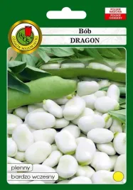 bob-dragon-odmiana-wczesna-jasnokremowa-idealna-na-przetwory-500g
