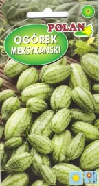 ogorek-meksykanski-nasiona-mini-arbuz-pnacy-slodko-kwasny-10-sztuk-polan