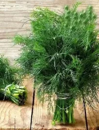 koperambrozja-5g-plenny-do-mrozenia-i-spozycia-srednio-wczesny-ogrodowy