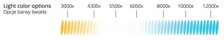 komplet-zarnikow-xenon-amio-basic-d2r-8000k-model-vertex