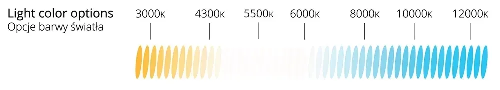 komplet-zarnikow-xenon-amio-basic-d2r-8000k