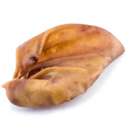naturalny-gryzak-dla-psa-ucho-wieprzowe-maced-1-szt