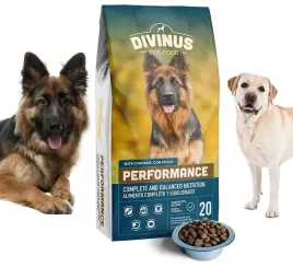 karma-divinus-performance-dla-owczarka-labradora-20-kg