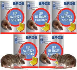 5x-duzy-lep-na-myszy-i-szczury-pulapka-klejowa-lepowa-skuteczna-bros