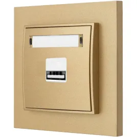 gniazdo-ladowarka-1xusb-2a-z-ramka-mini-kolor-zloty