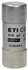 eti-wkladka-topikowa-cylindryczna-ch22x58-gg-80a-690v-002651049