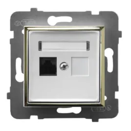modul-bialy-zloty-bez-ramki-internetowe-rj45-1x