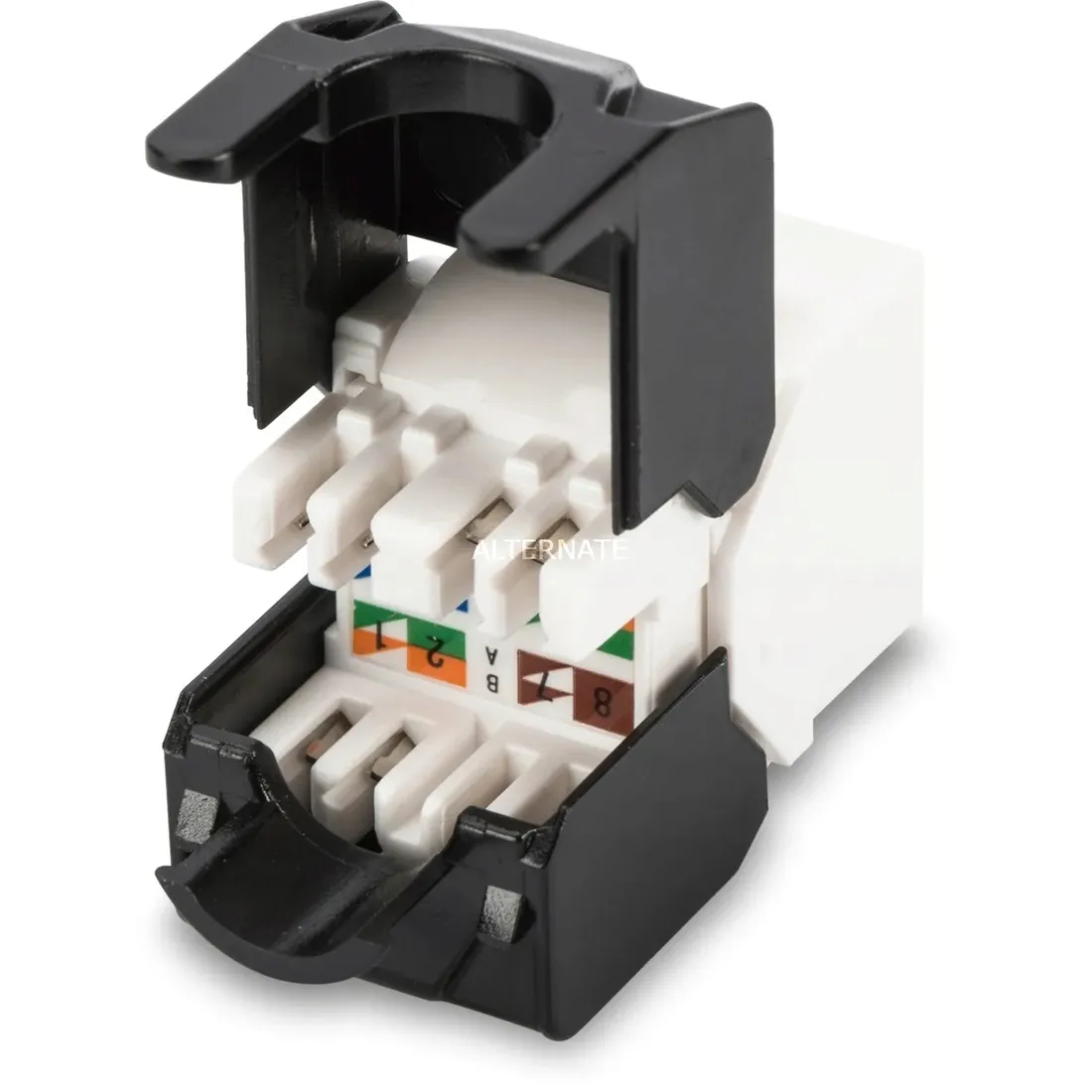 modul-keystone-digitus-rj45-kat-5e-utp-patchpanel