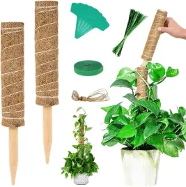 podpora-do-roslin-pnacych-palik-kokosowy-2x-30cm-tyczka-slupek-stabilny