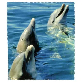 mikrofaza-victoria-animal-c5-sciereczka-do-czyszczenia-okularow
