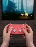 8bitdo-kontroler-bezprzewodowy-lite-2-bluetooth-nintendo-switch-pink-kompatybilne-platformy-nintendo-switch-android