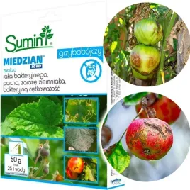 miedzian-50-wp-50g-choroby-grzybowe-parch-sumin