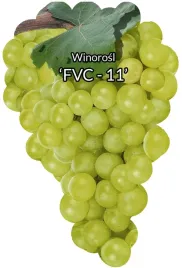 etykiety-szkolkarskie-winorosl-fvc-11