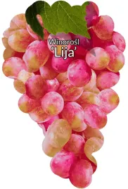 etykiety-szkolkarskie-winorosl-lija