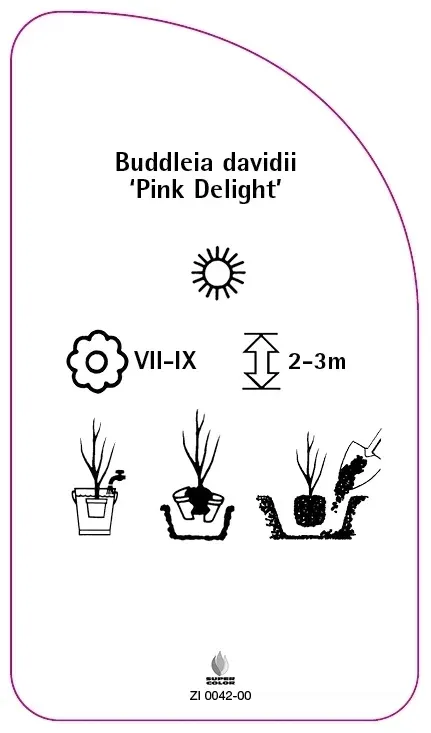 etykiety-budleja-dawida-pink-delight