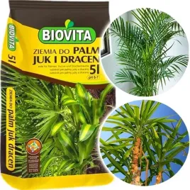 ziemia-podloze-do-palm-juk-i-dracen-5l-biovita
