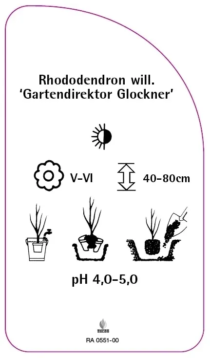 etykiety-rozanecznik-gartendirektor-glockner