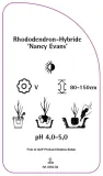 etykiety-rhododendron-hybride-nancy-evans-stan-nowy