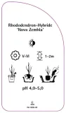 etykiety-rododendron-hybride-nova-zembla-stan-nowy