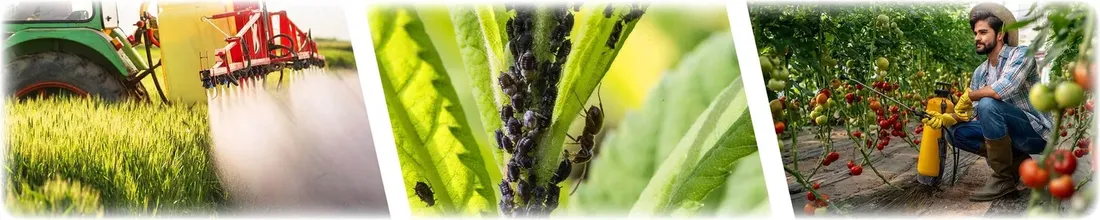 opryskiwacz-cisnieniowy-master-ergo-2000ml-marolex