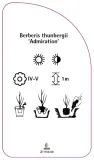 etykiety-berberys-thunberga-admiration-stan-nowy